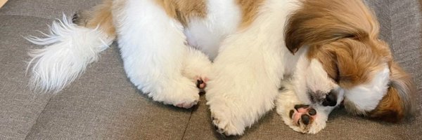 poco20220603 Profile Banner