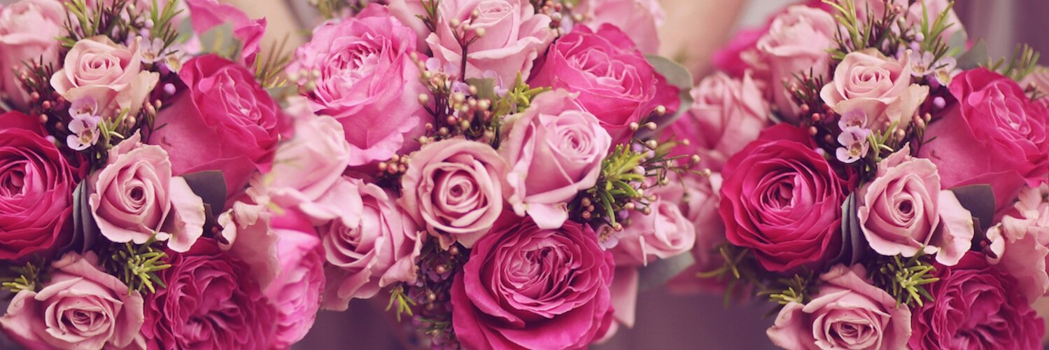 dreamwedding's profile banner image