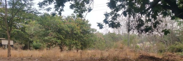 Adwaith_WS Profile Banner