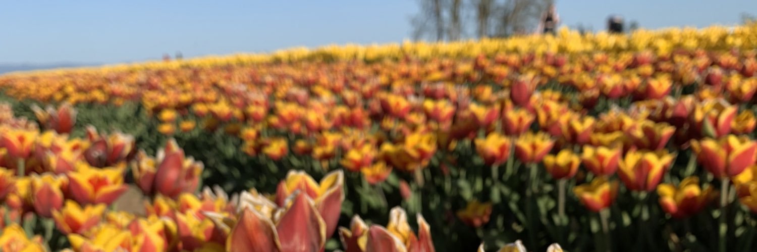 krb0401's profile banner image