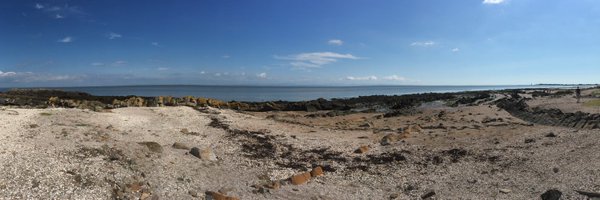 mrs_mcadam Profile Banner