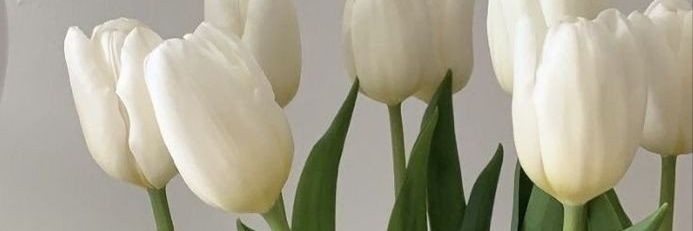 دبیر ریاضی banner