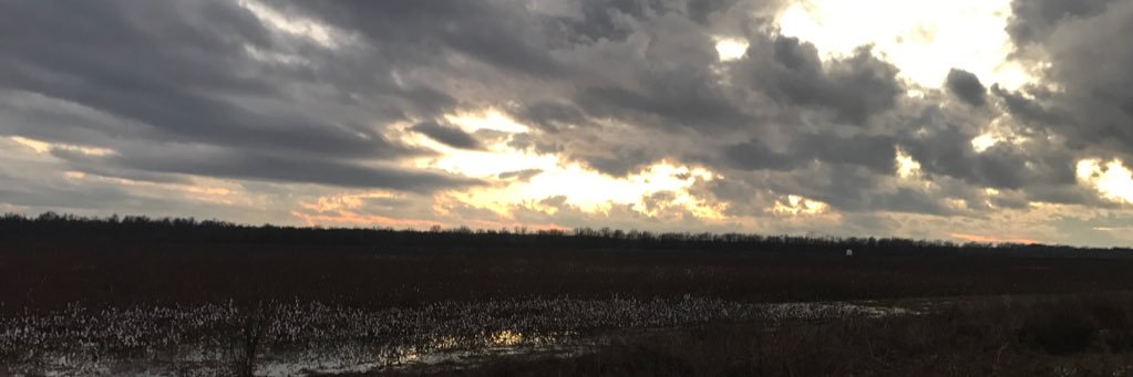 ColtonLee131's profile banner image