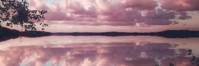 diese andere Userin banner