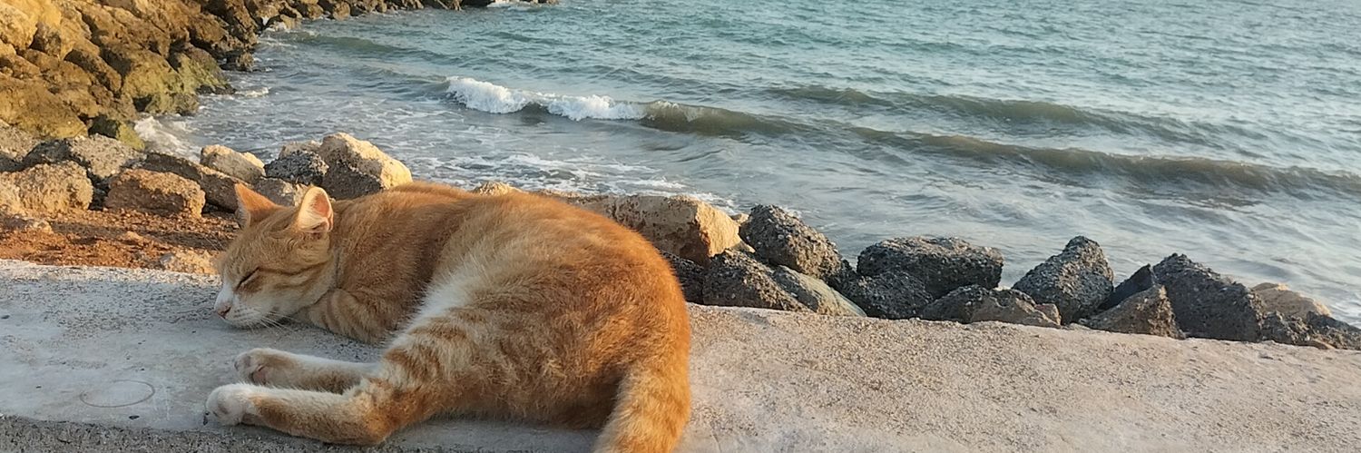 ayipoluo's profile banner image