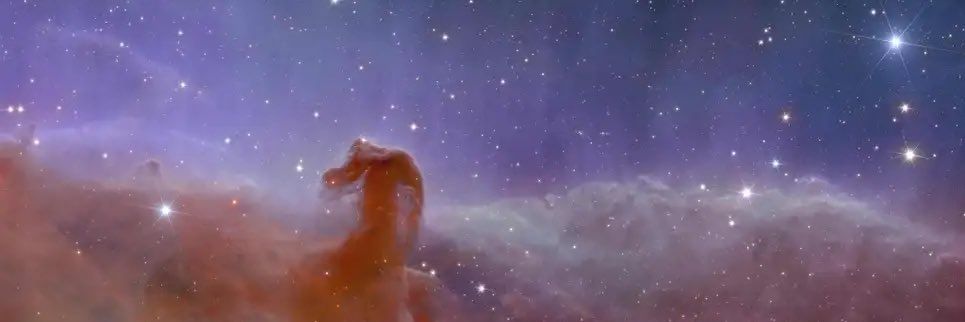 rexcoello's profile banner image