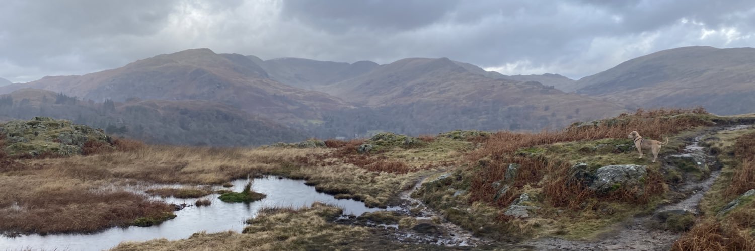 Marthe de Ferrer banner