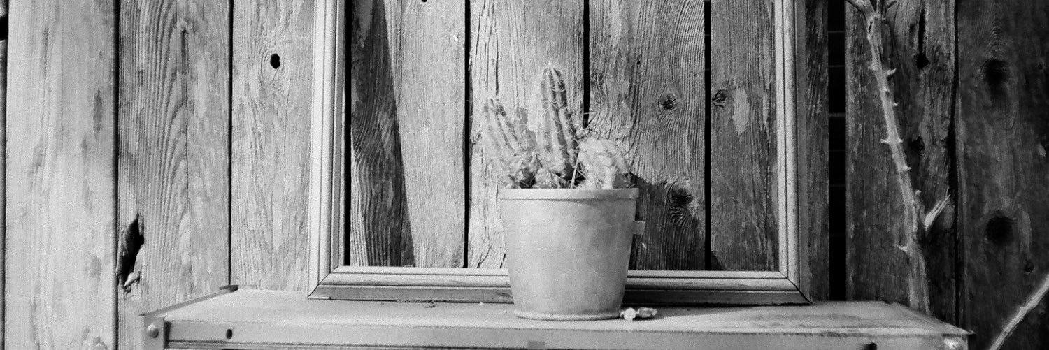 whitneyndevin's profile banner image