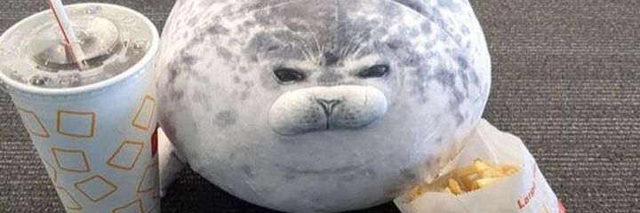 🦭 𝕊 𝔼 𝔸 𝕃 🦭 banner