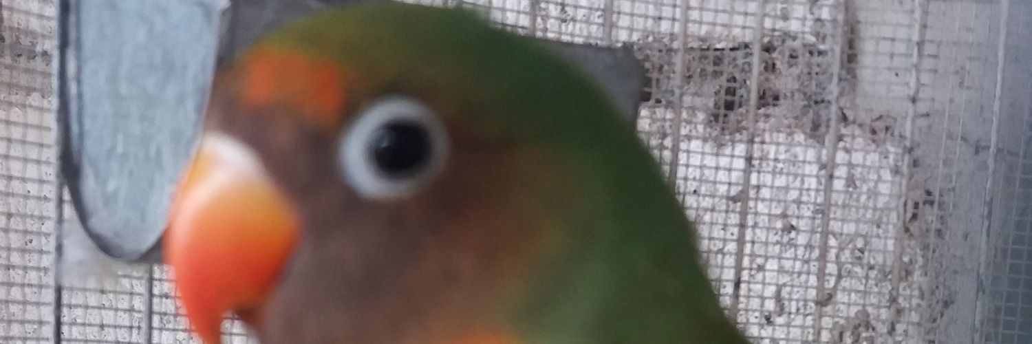 adrian_77C's profile banner image