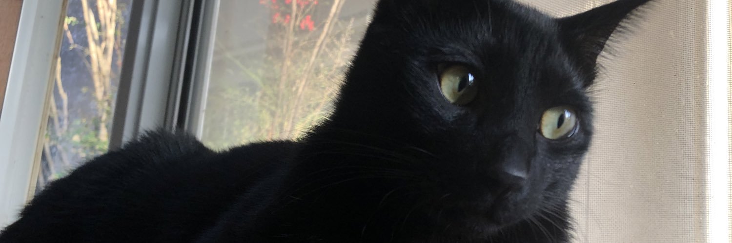 roromomochan's profile banner image
