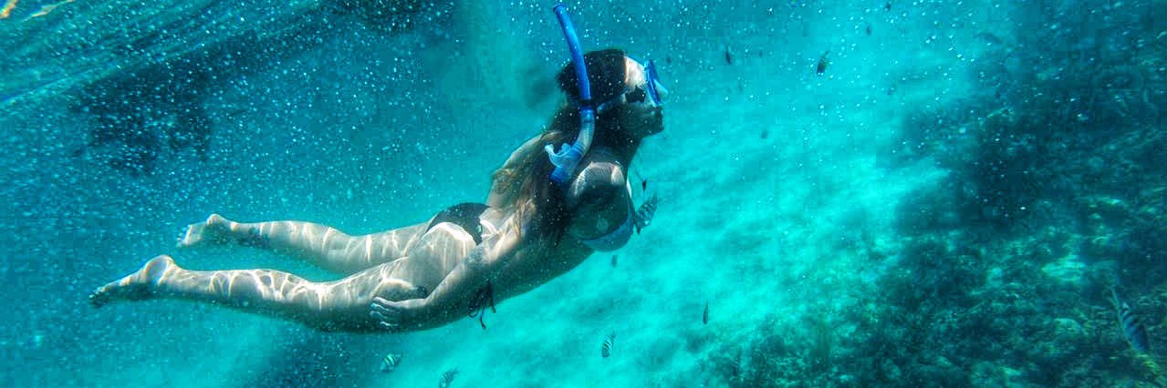 Aline Guilhon Chaves banner