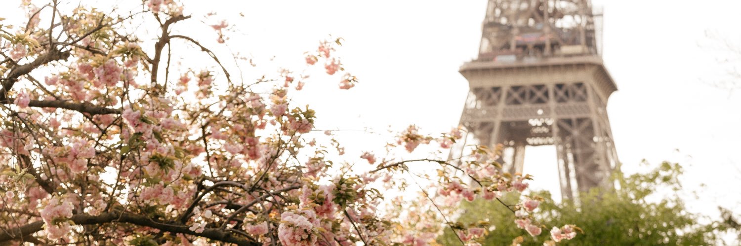 lecarlson13's profile banner image