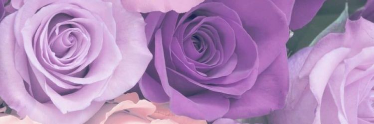 JeniiC_16's profile banner image