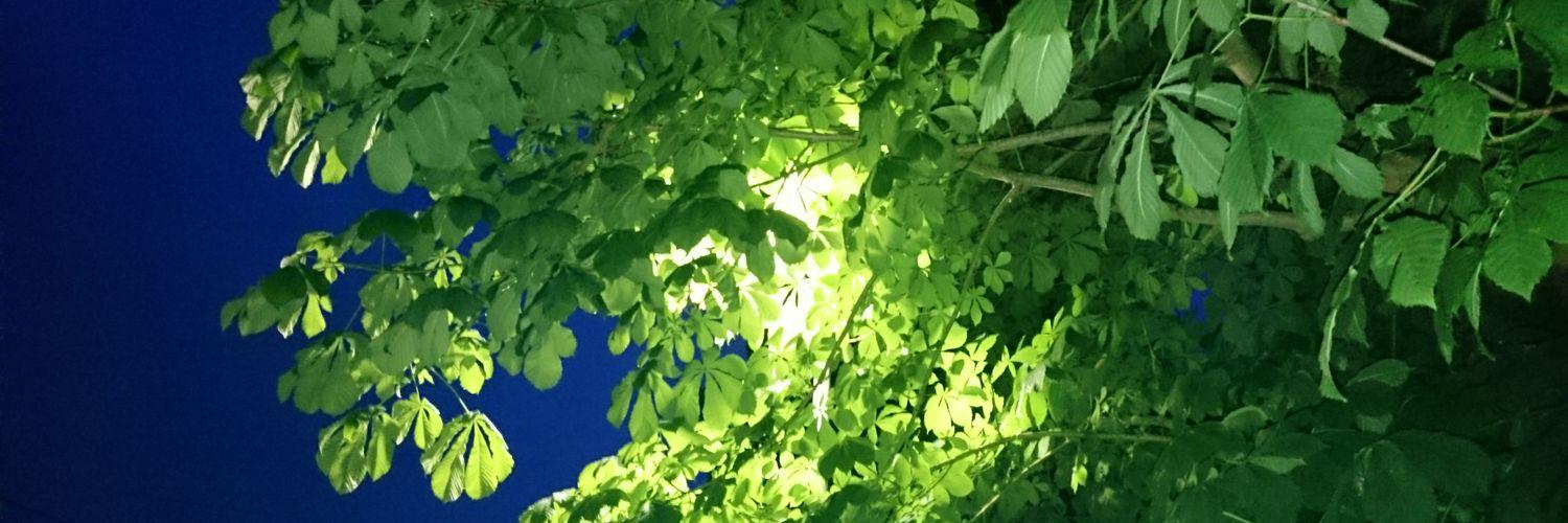 MattHighland's profile banner image