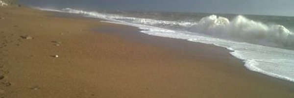 EntheosTuition Profile Banner