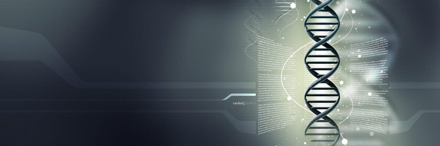 Research Collective banner