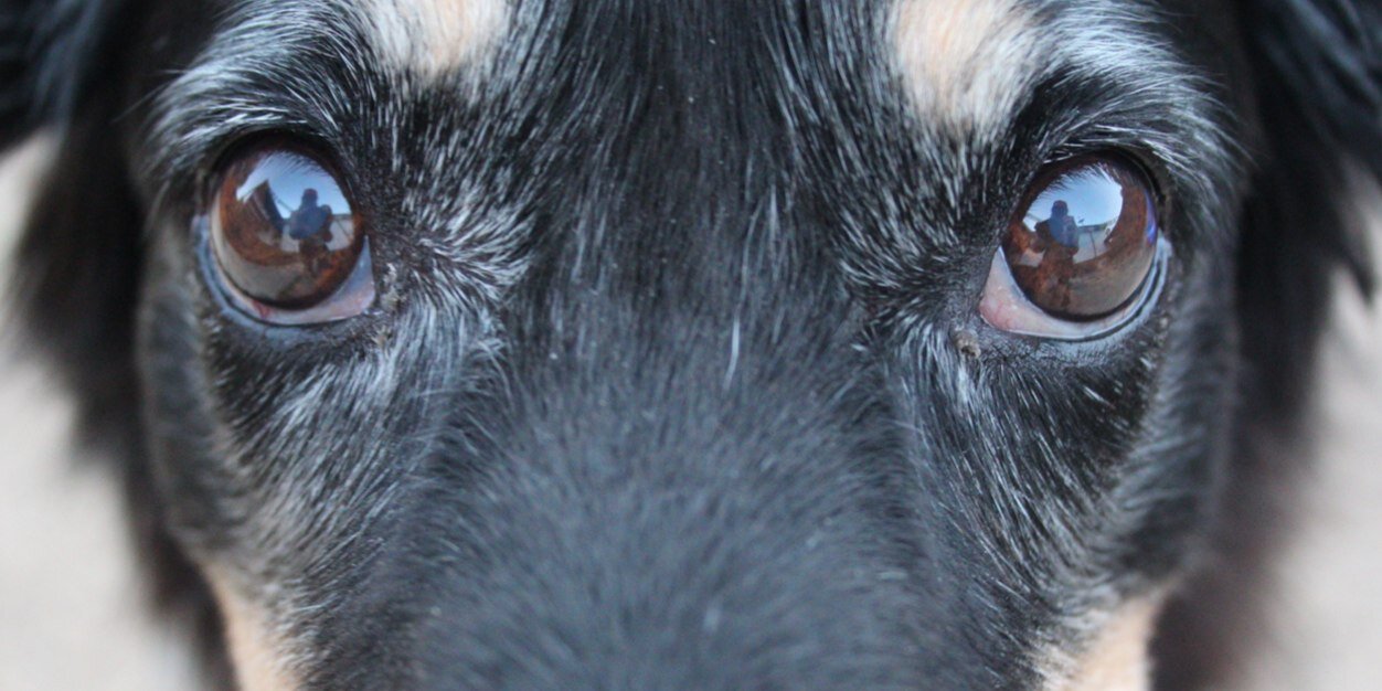 moore2614's profile banner image
