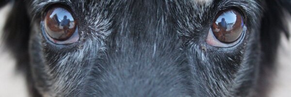 moore2614 Profile Banner