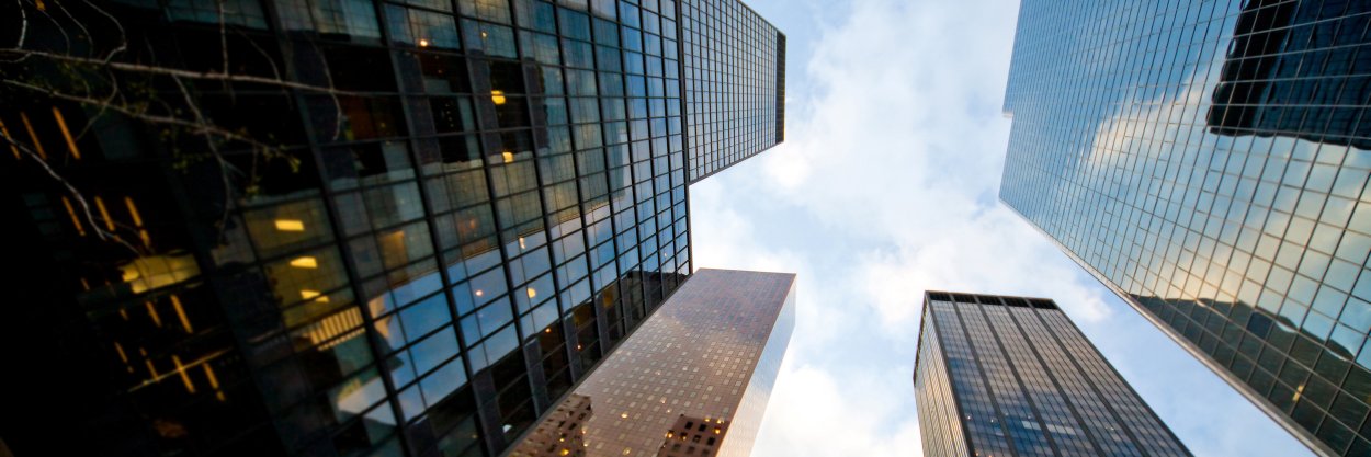 Omid Mahboubi banner