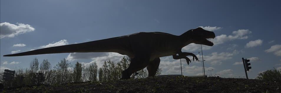 fenasilerden's profile banner image
