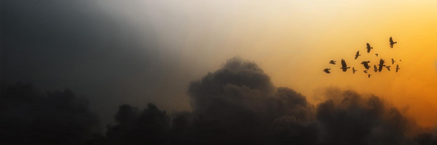 theWritingHabit's profile banner image