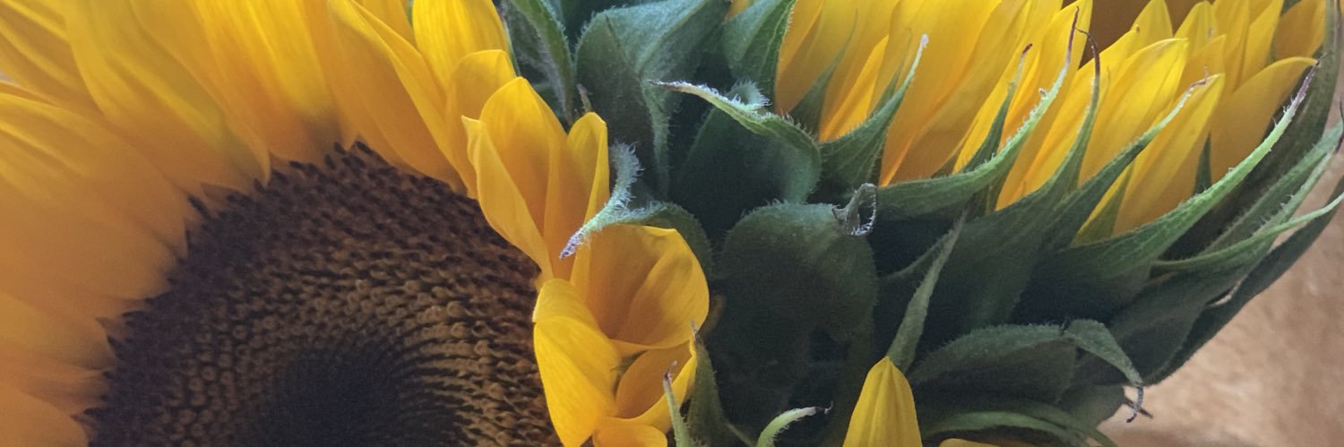 _prisspriss's profile banner image
