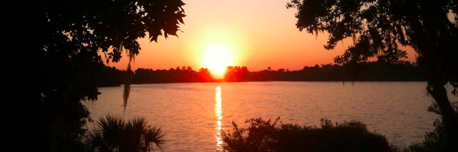 Dr. Swapna Kumar banner