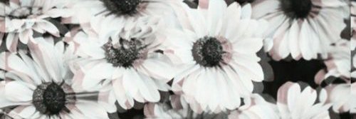 recover_'s profile banner image