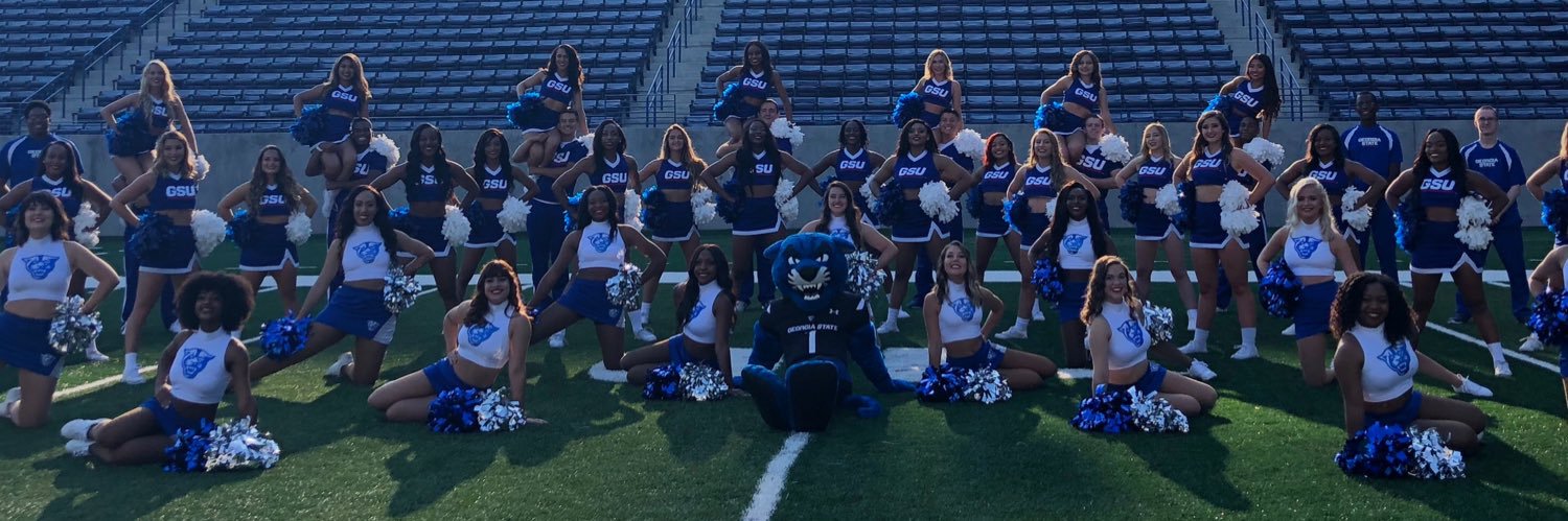 Georgia State Spirit banner