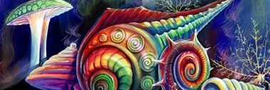 Angelymp's profile banner image