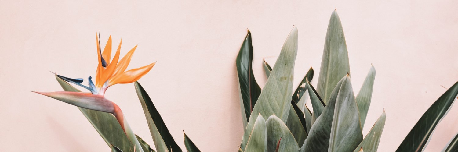 MoonshineDesign's profile banner image