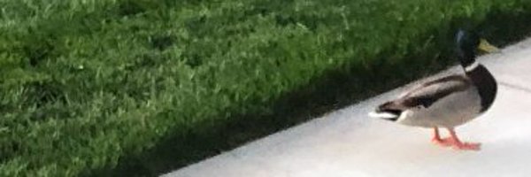 charles_yu Profile Banner