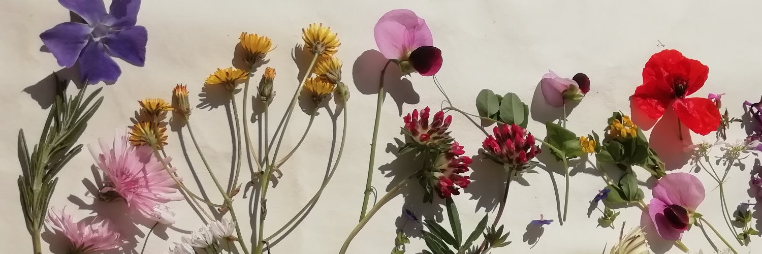 pinkbee78's profile banner image
