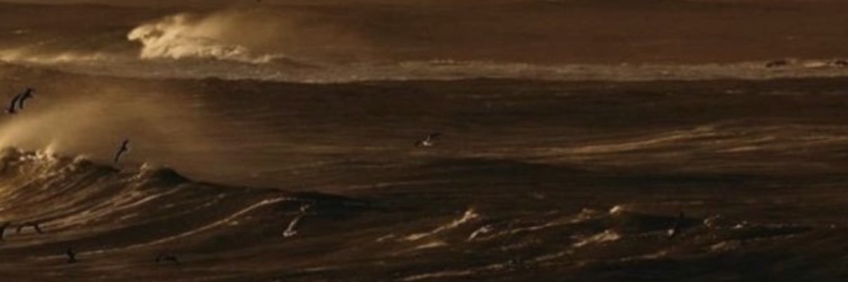 selina banner