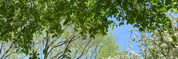 aswatipanicker Profile Banner