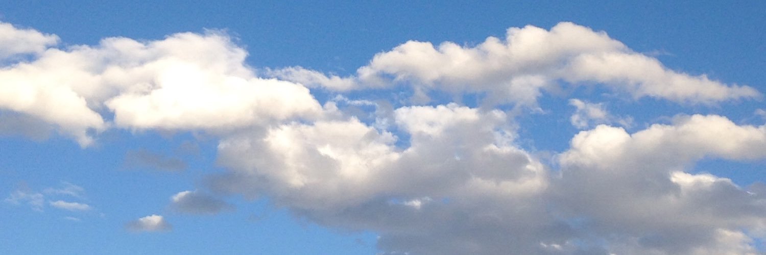 tc_lora's profile banner image