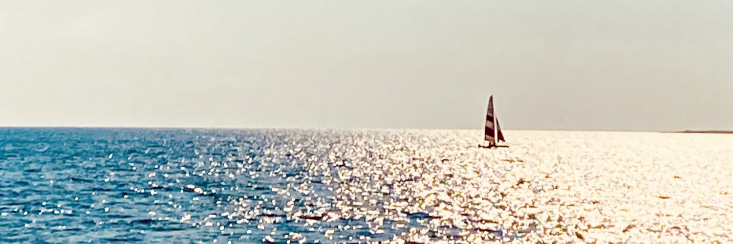 847dinosaur's profile banner image