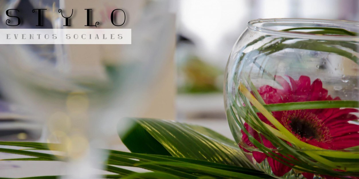 EventosStylo's profile banner image