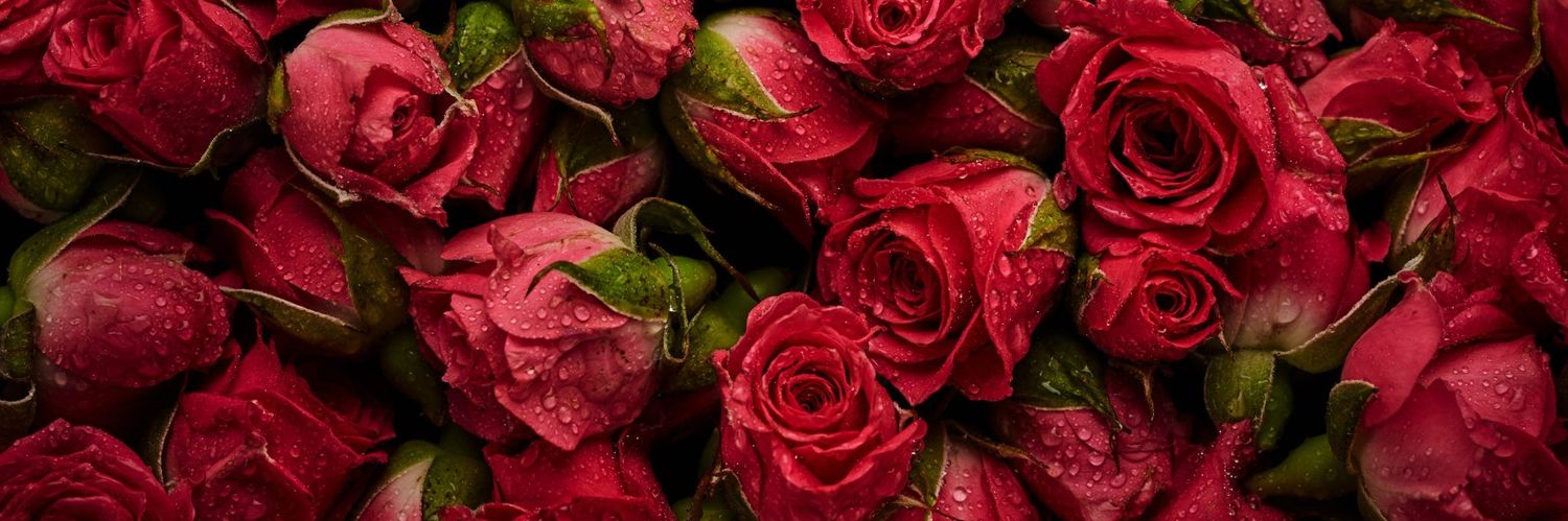 andreamorel's profile banner image
