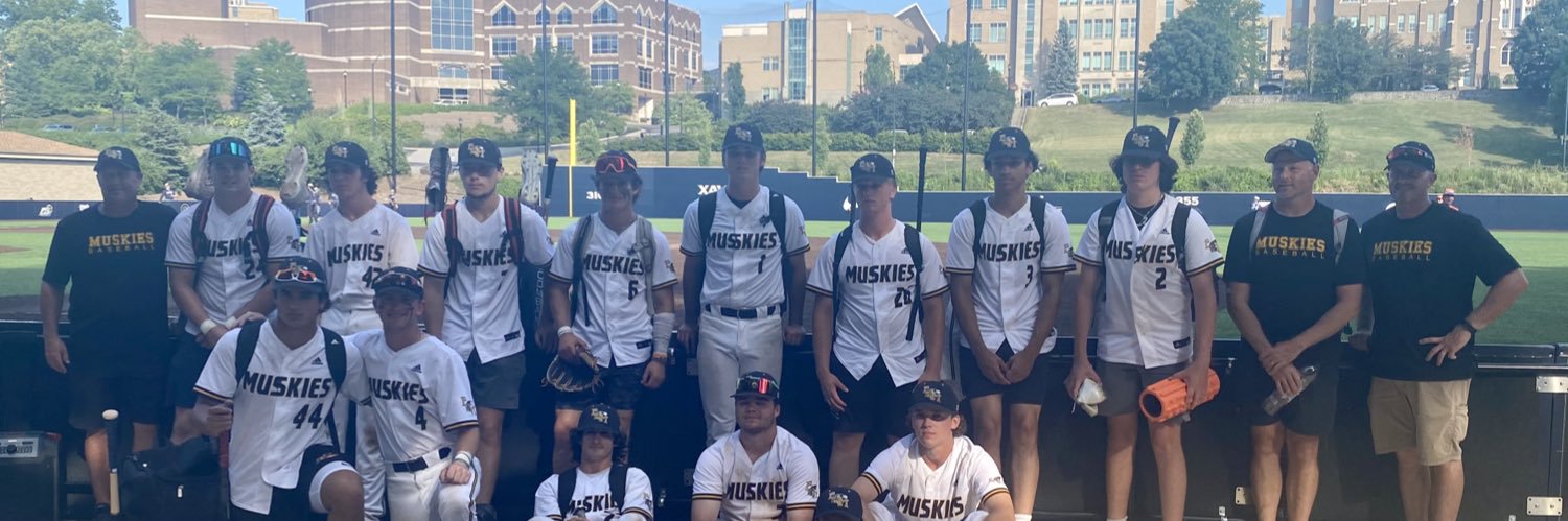 East Michigan Muskies Baseball 17U banner