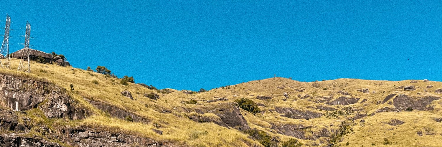 Isadora Cecatto banner