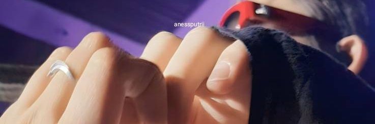 AgnesFP's profile banner image