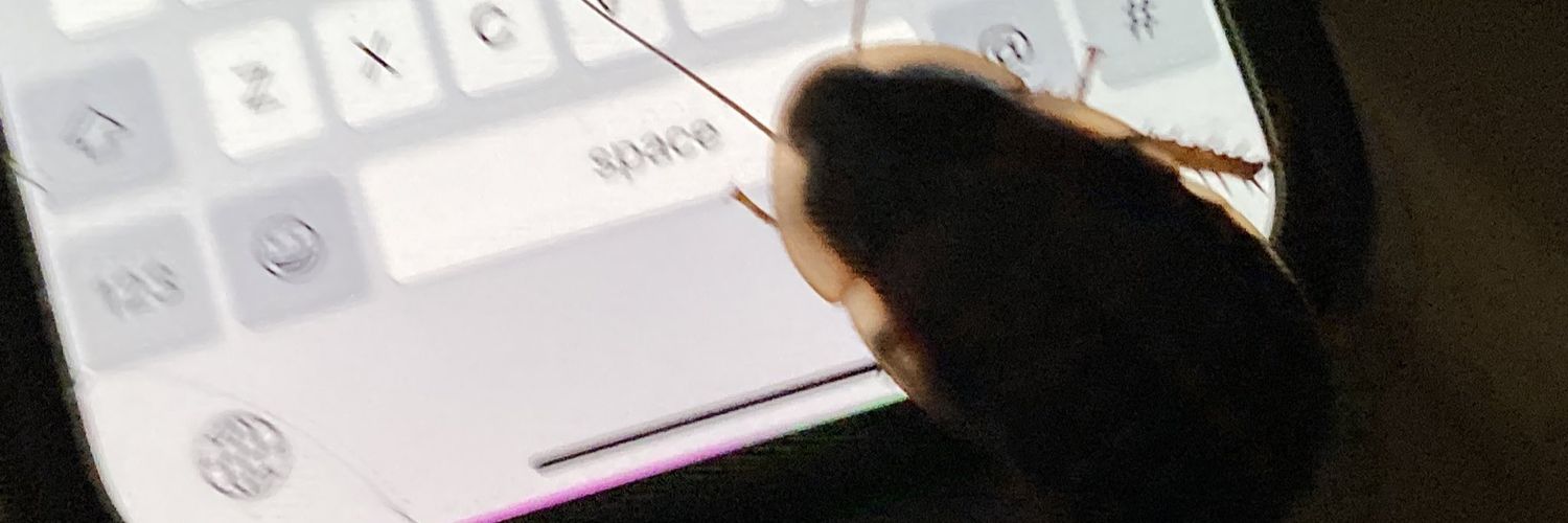 itselfeatself's profile banner image