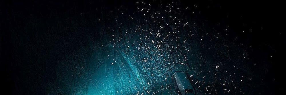 sehoonox's profile banner image