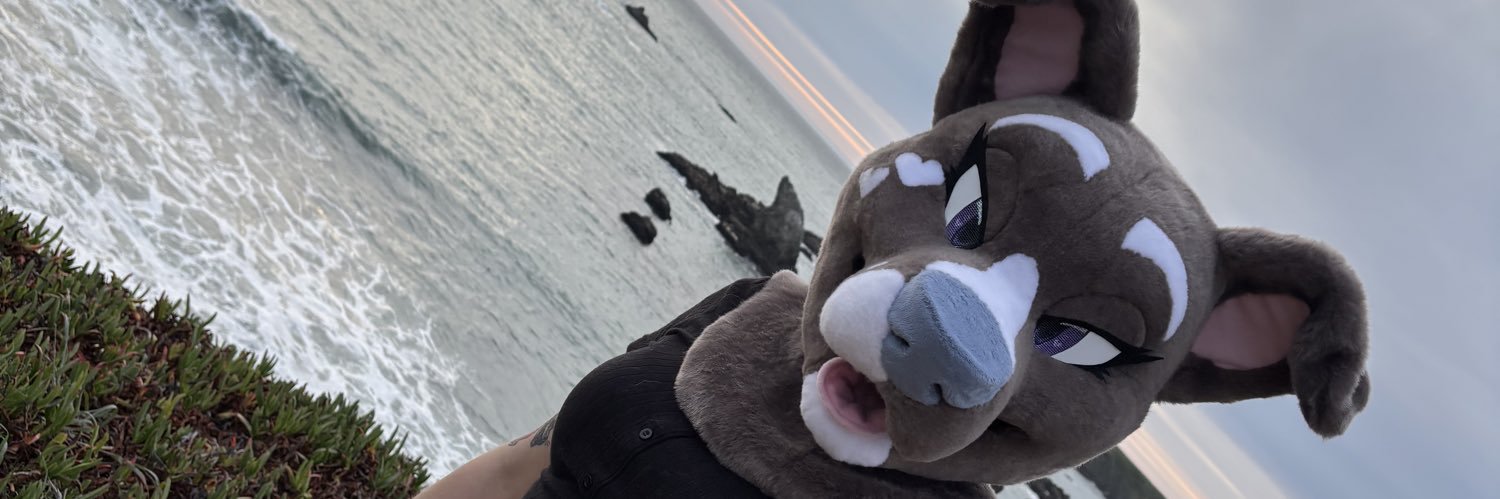 Mackie 🍃🔜 LVFC banner