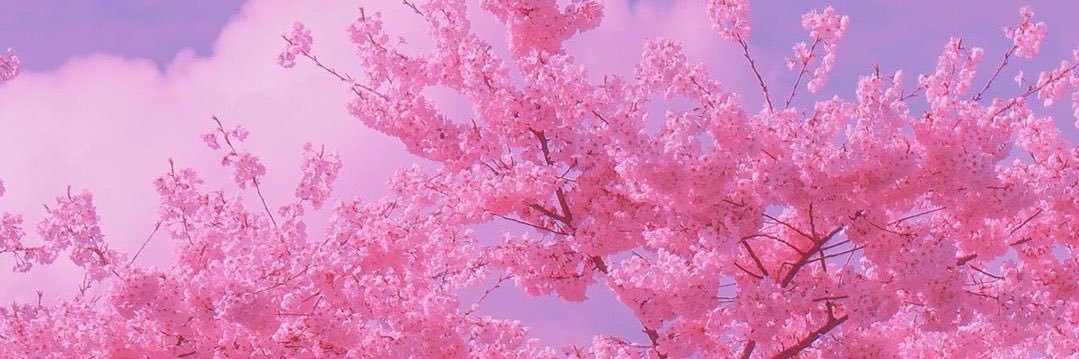 MODELandMOSCATO's profile banner image