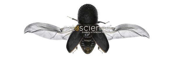 ASMArtScience Profile Banner