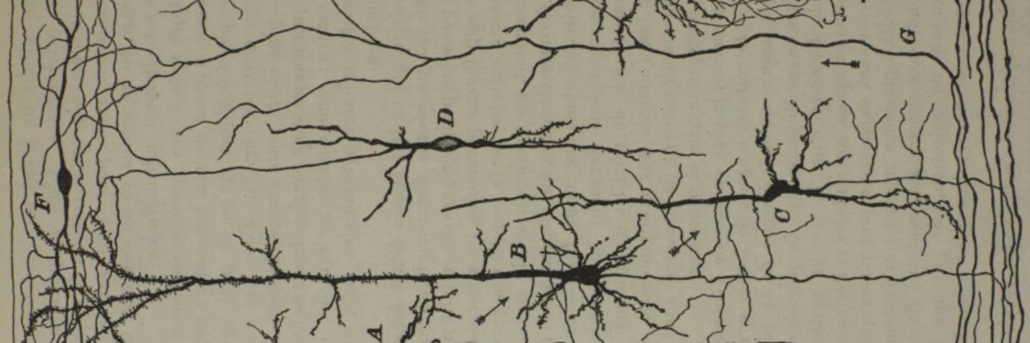 Brain Structure & Function banner