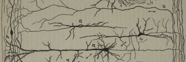BrainStrucFunc Profile Banner